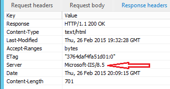 IIS Server Header