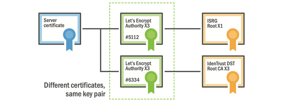 Server certificates. SSL Цепочки. Сертификат IDENTRUST DST root CA x3. Root Certificate ISRG root x1. IDENTRUST DST root CA x3.